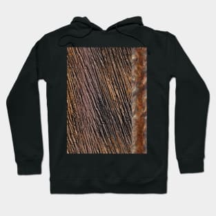 modern pattern in shades of brown and beige with a decorative vertical band Hoodie